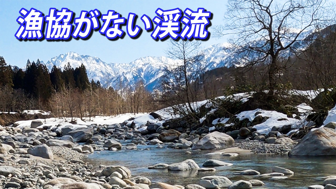 漁協の無い渓流と天然イワナと天然ヤマメ