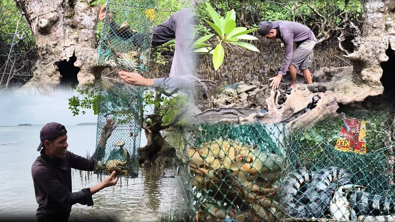 Nakakatakot na ahas pumasok sa trap/ binalikan ulit Namin ang spot kung saan kami nakahuli Ng marami