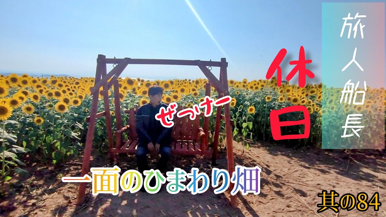 ひまわり畑×農作業｜南島原の田舎暮らしVlog 田舎でノンビリ暮らす仕事なき旅人　其の84
