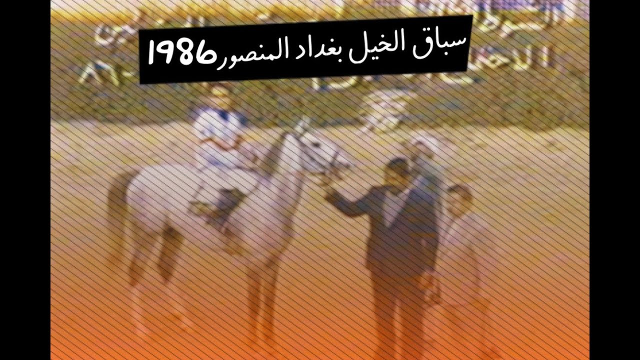 الفارس وليد رستم | سباق المنصور | 1985-1986