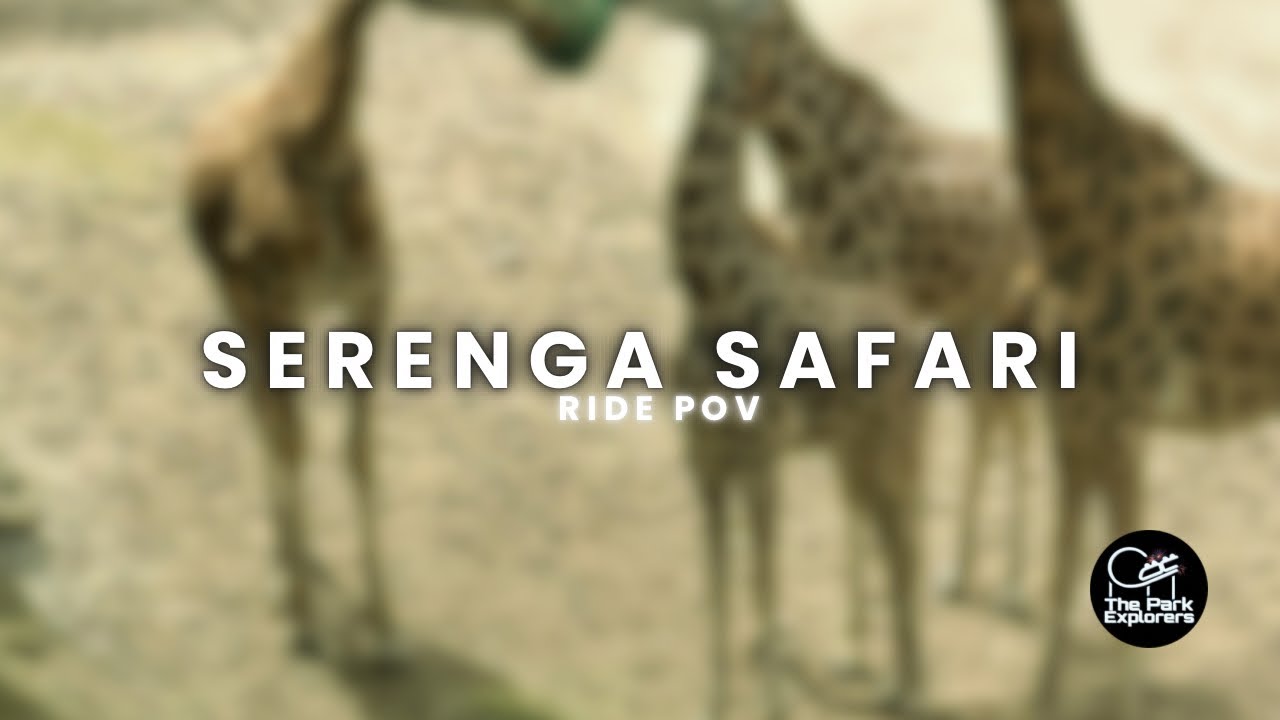 WILDLANDS Emmen | Explore the Wild on Serenga Safari | Full Ride POV 🛻🦓