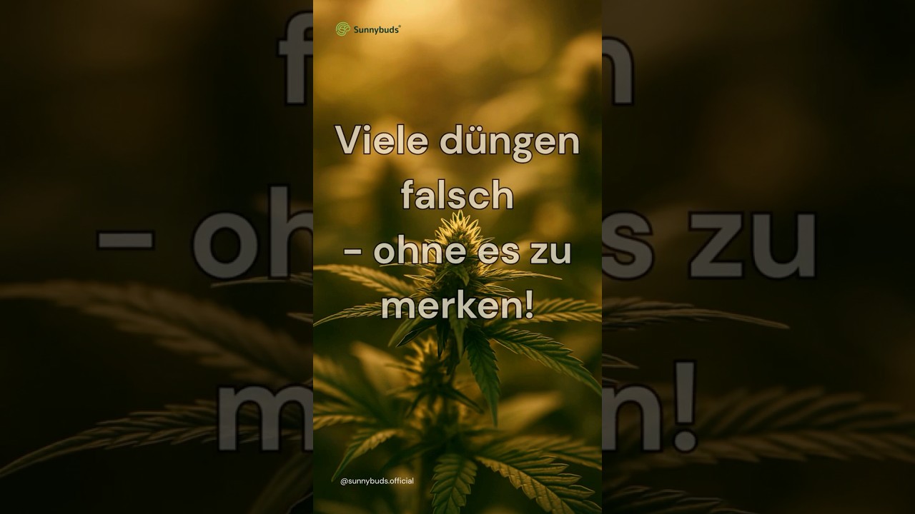 Bio-D&uuml;nger RUINIEREN deinen Grow &ndash; wenn du DAS nicht wei&szlig;t!