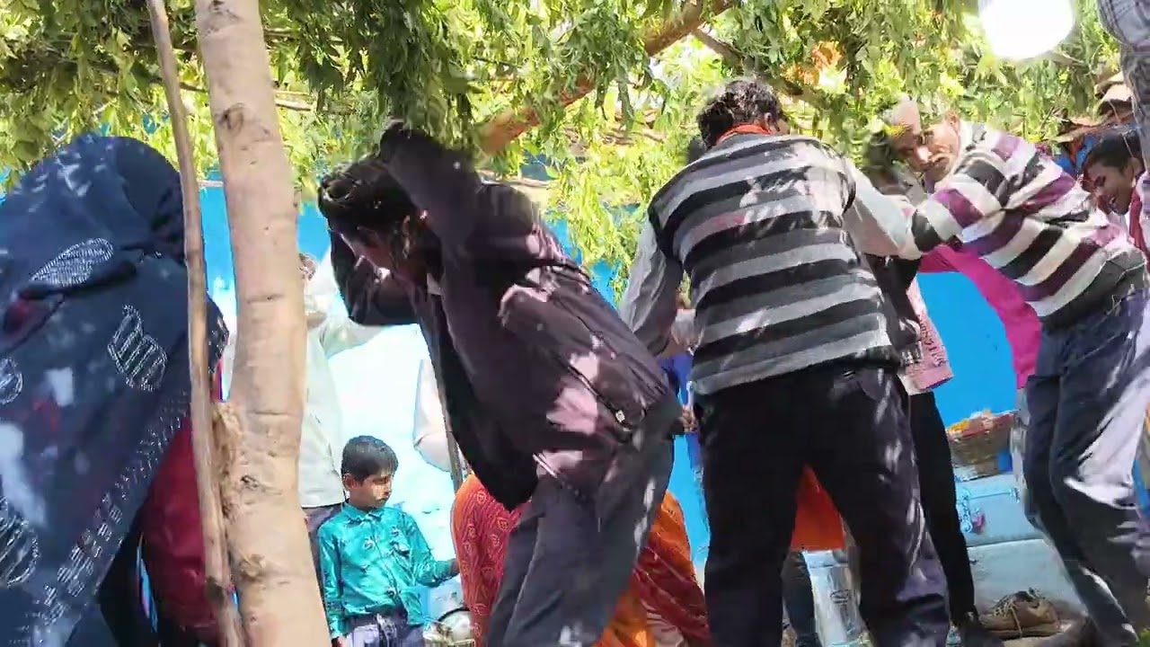 Bagheli madrasi