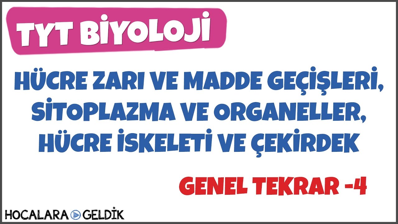 Hücre Zarı ve Madde Geçişleri, Sitoplazma ve Organeller, Hücre İskeleti ve Çekirdek