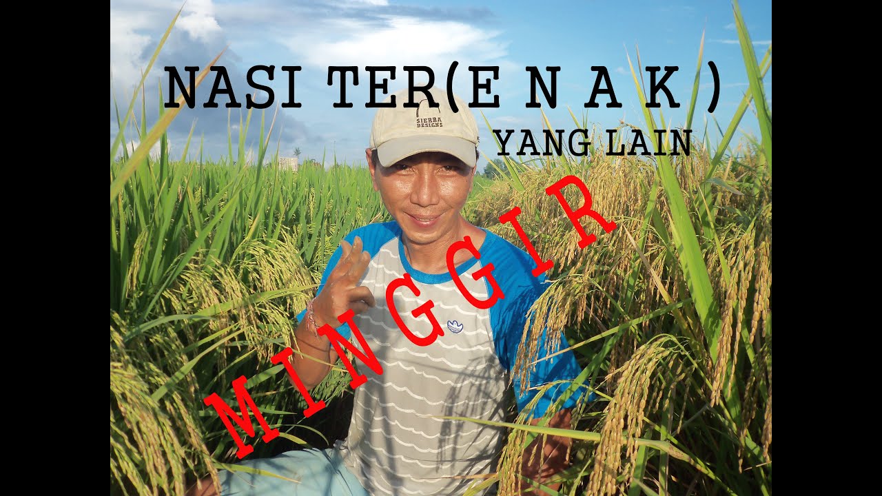 Re View RASA NASI TER UENAK POKOK NYA, BERAS SUPER PREMIUM....YG LAIN MINGGIR .!!!!!!!