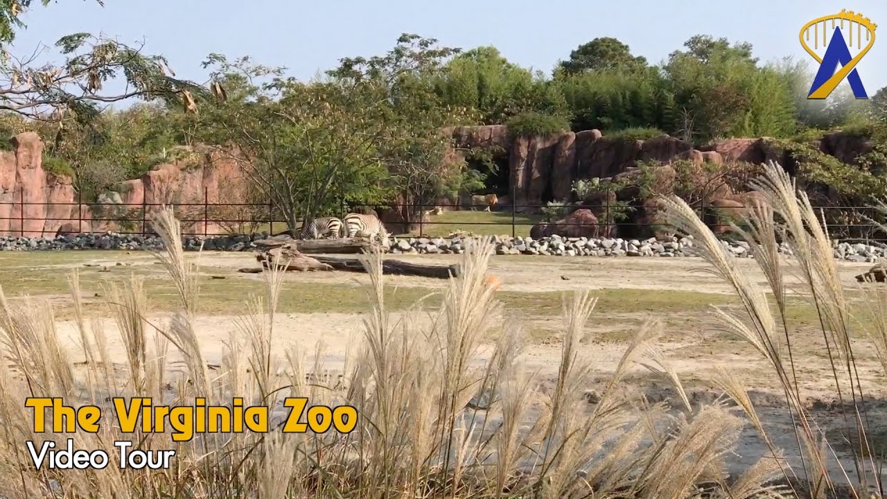 Tour of the Virginia Zoo in Norfolk