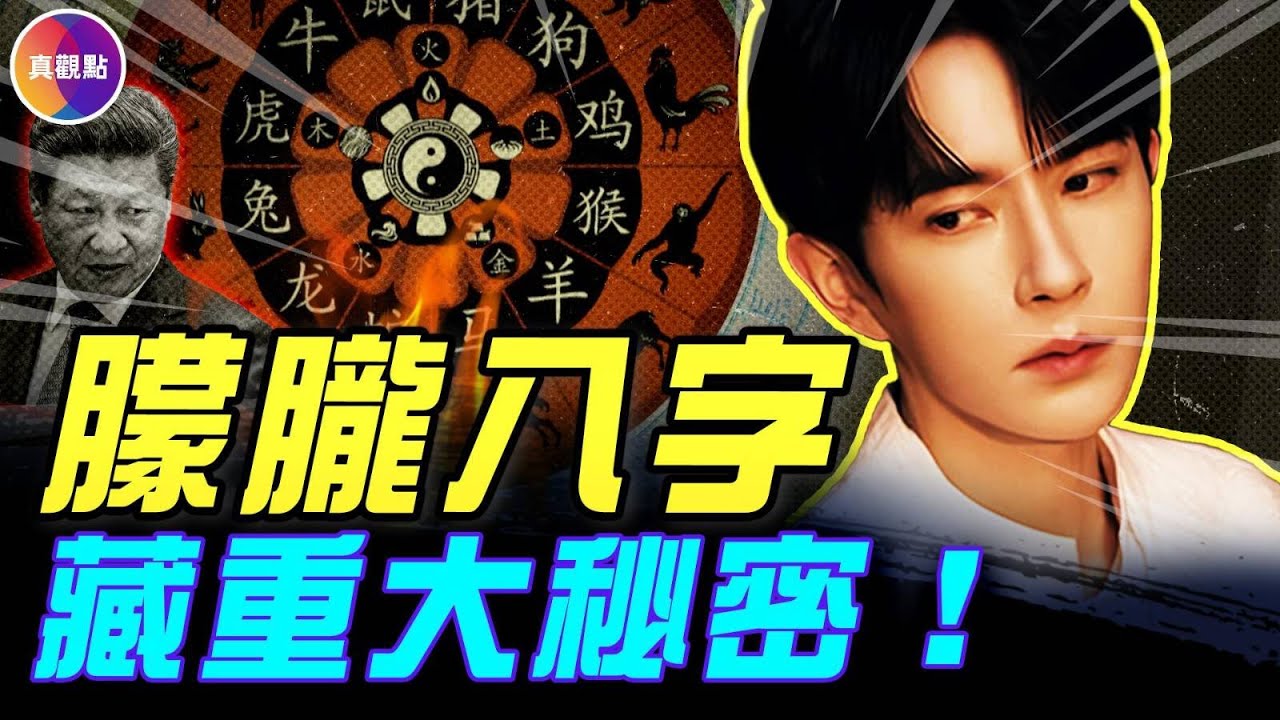 喬任梁張國榮秘密曝光！于朦朧與習近平的關聯是？#真飛 #真觀點