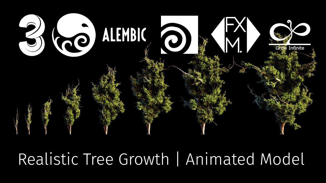 Realistic Tree Grow 3d Model | Procedural HIP Setup + Alembic Files (Animated)