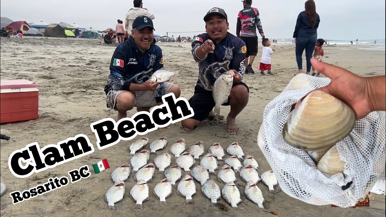 Clam Beach en Rosarito, Baja California 🇲🇽 una de las playas más bonitas para disfrutar en familia
