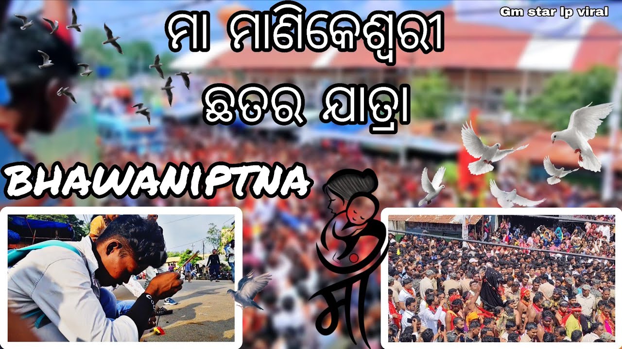 maa manikeshri Chatra jatra 🚩🌺🥥🙏//bhawaniptna //kalahandi