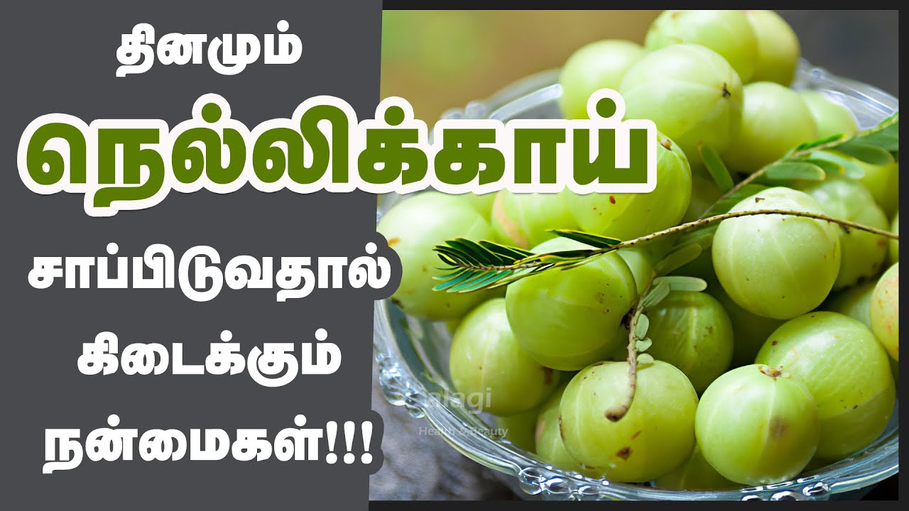 நெல்லிக்காய் மருத்துவ பயன்கள் | Top 10 Health Benefits of Amla | Indian Gooseberry | Superfood