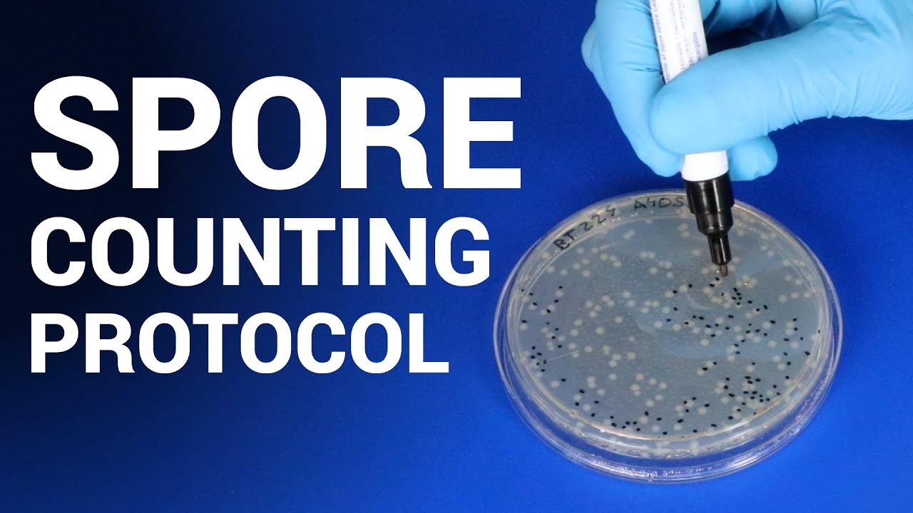 Spore Counting Protocol - Terragene ® method