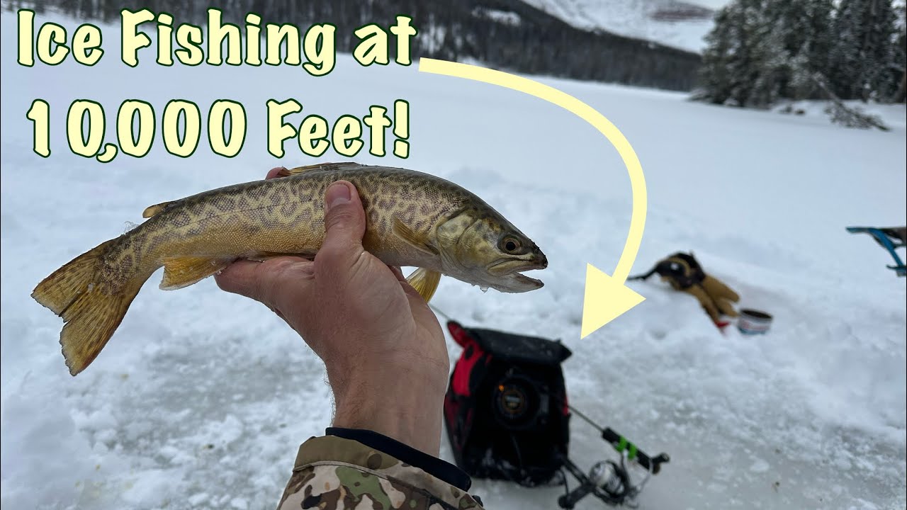 Ice Fishing for Tiger, Brook, and Cutthroat Trout at a high Mountain Lake!
