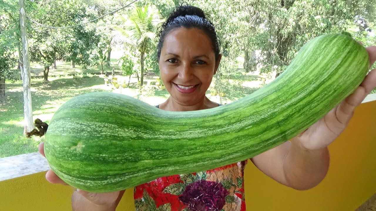 3 RECEITAS INCRÍVEIS COM ABOBRINHA