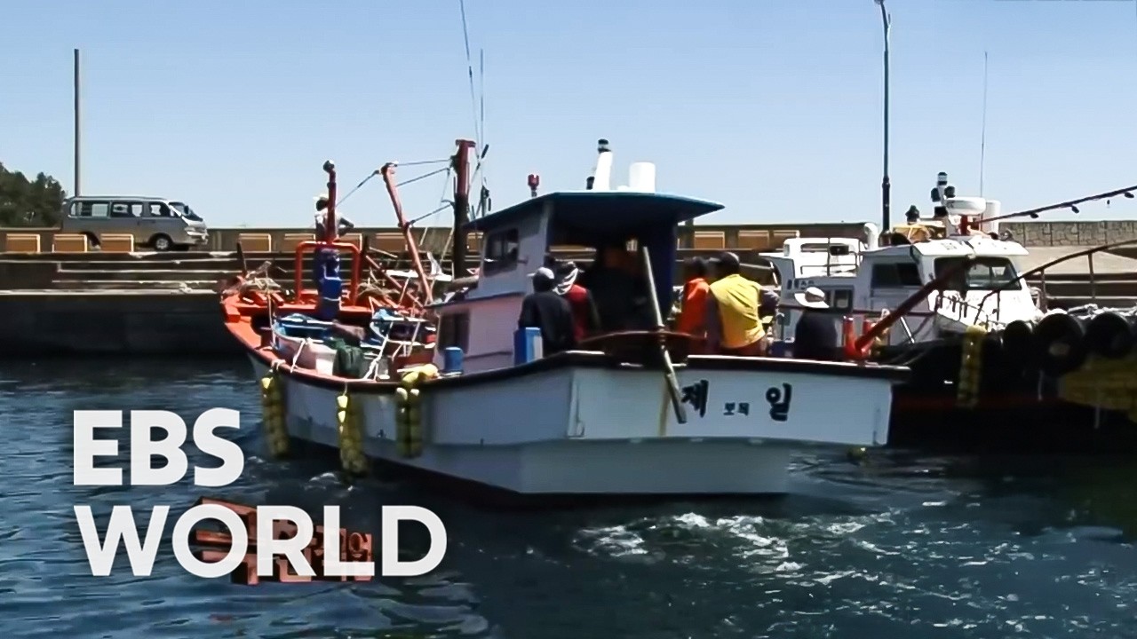 [ENG SUB] Fishermen Risk Storms Catching Jeju’s Beloved Summer Fish Damselfish #PICKDOCU