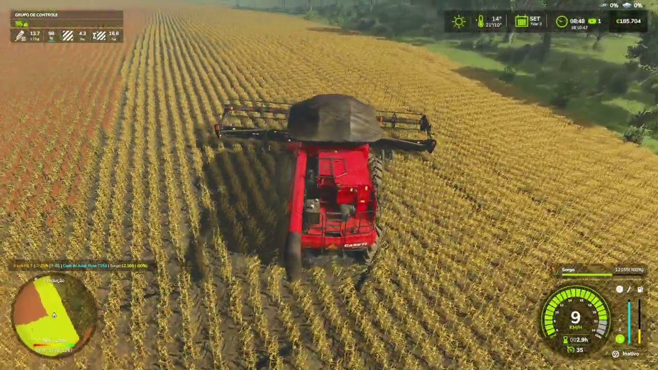 FS 25, COLHENDO SORGO.