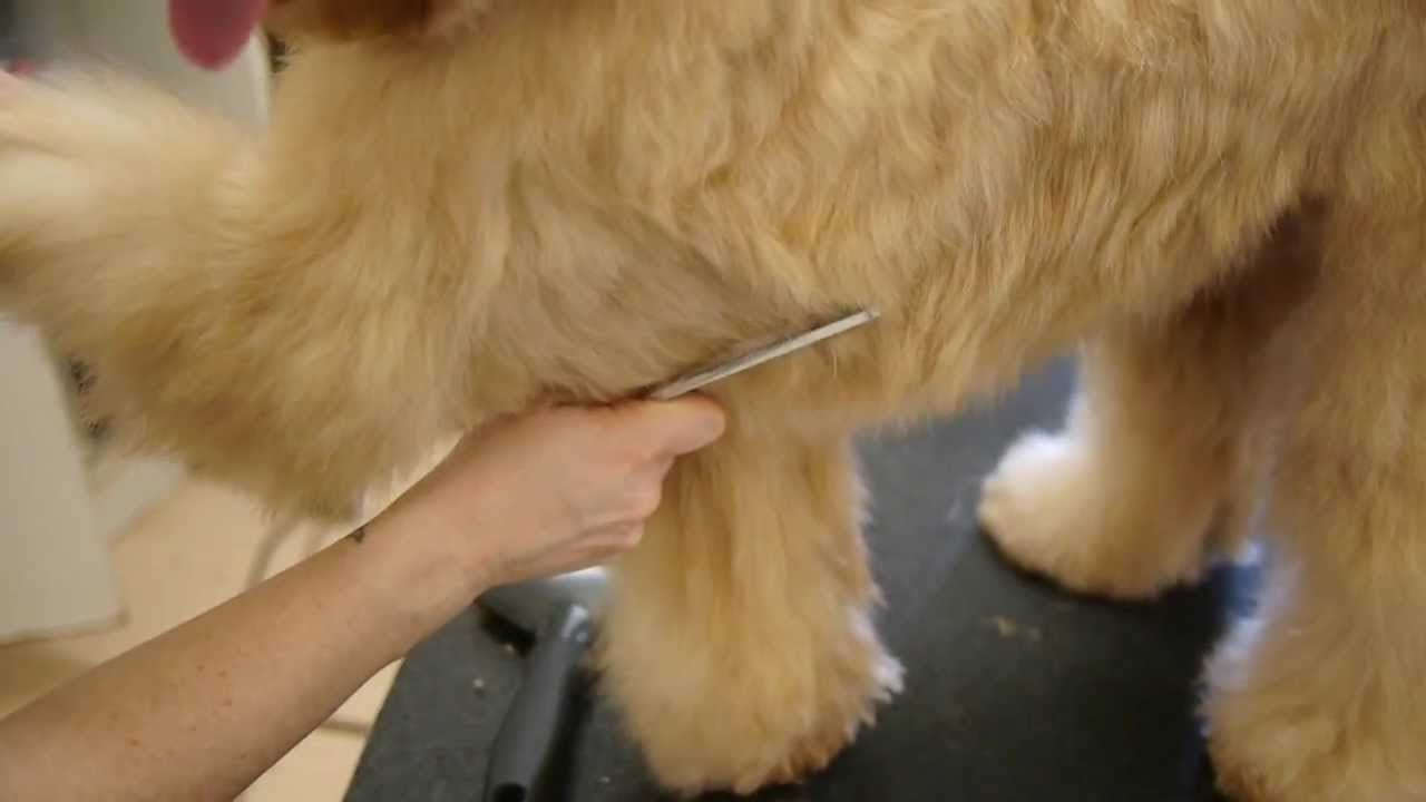 Grooming Video