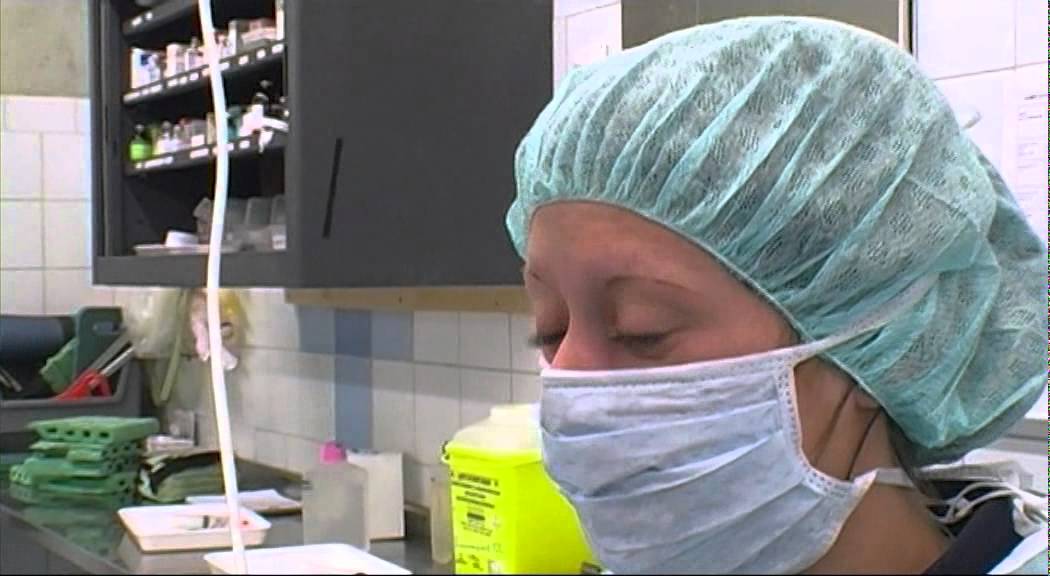 Bex 2011 - Areda.flv