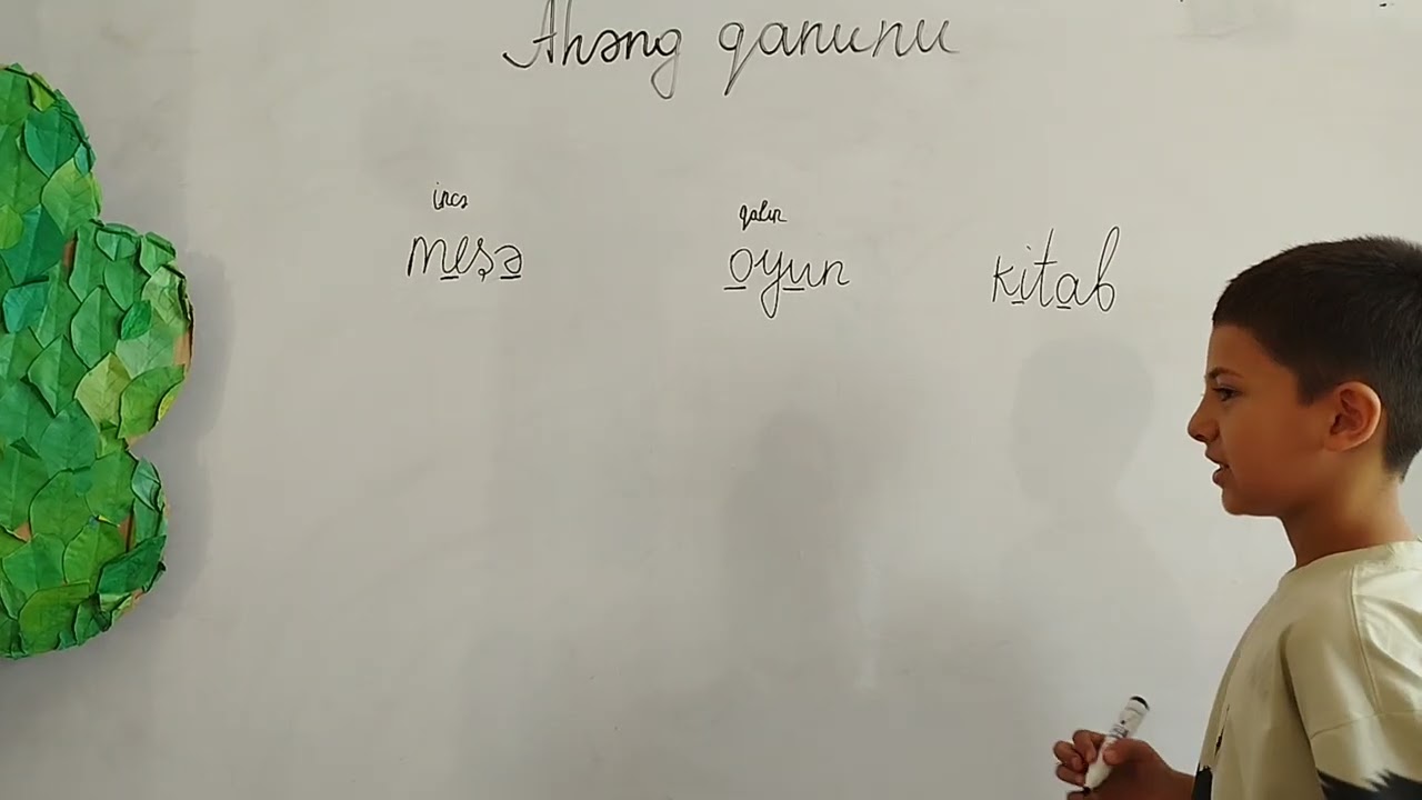 Ahəng qanunu
