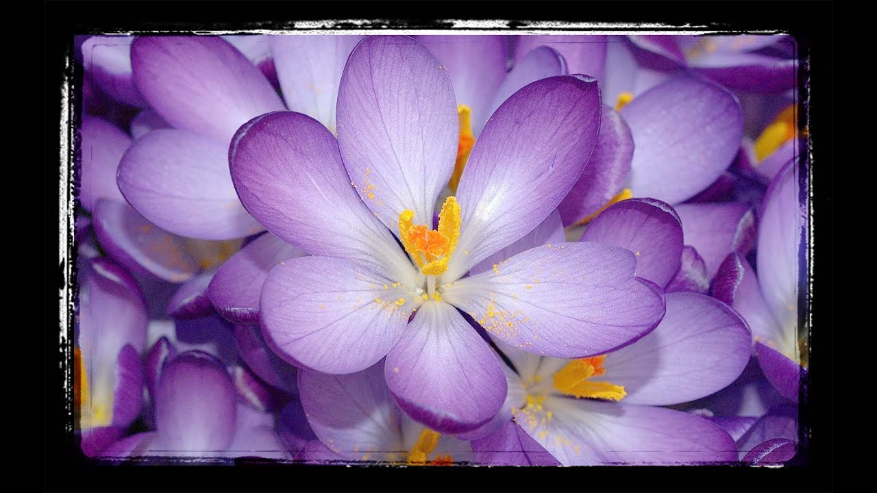 How to make Borders and Frames in Photoshop cc Tutorial