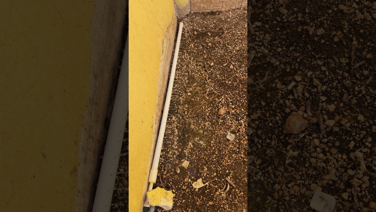 Sistema de riego casero