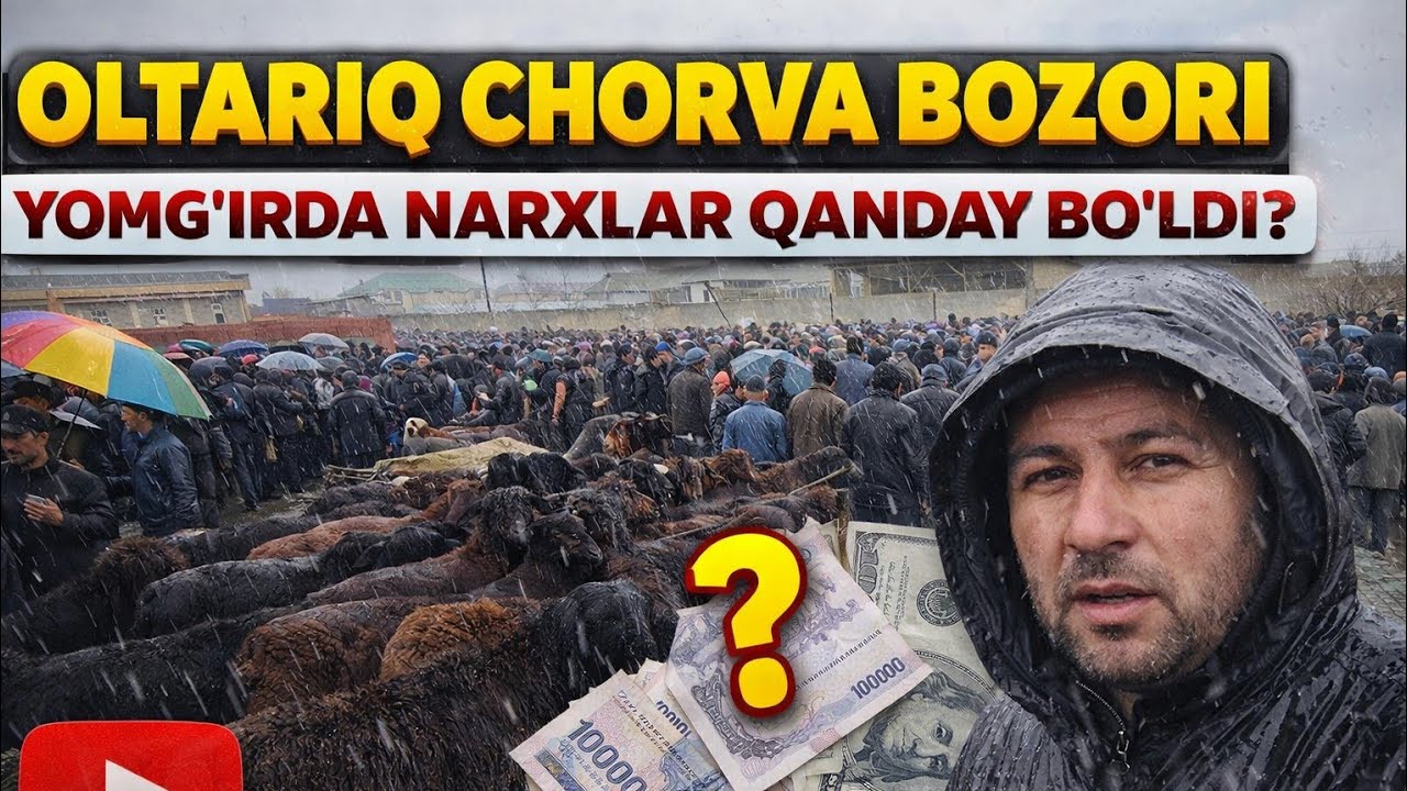 OLTARIQ CHORVA BOZORI YOMGʻIRDA NARXLAR QANDAY BOʻLDI 06.03.2026✅️✅️✅️✅️