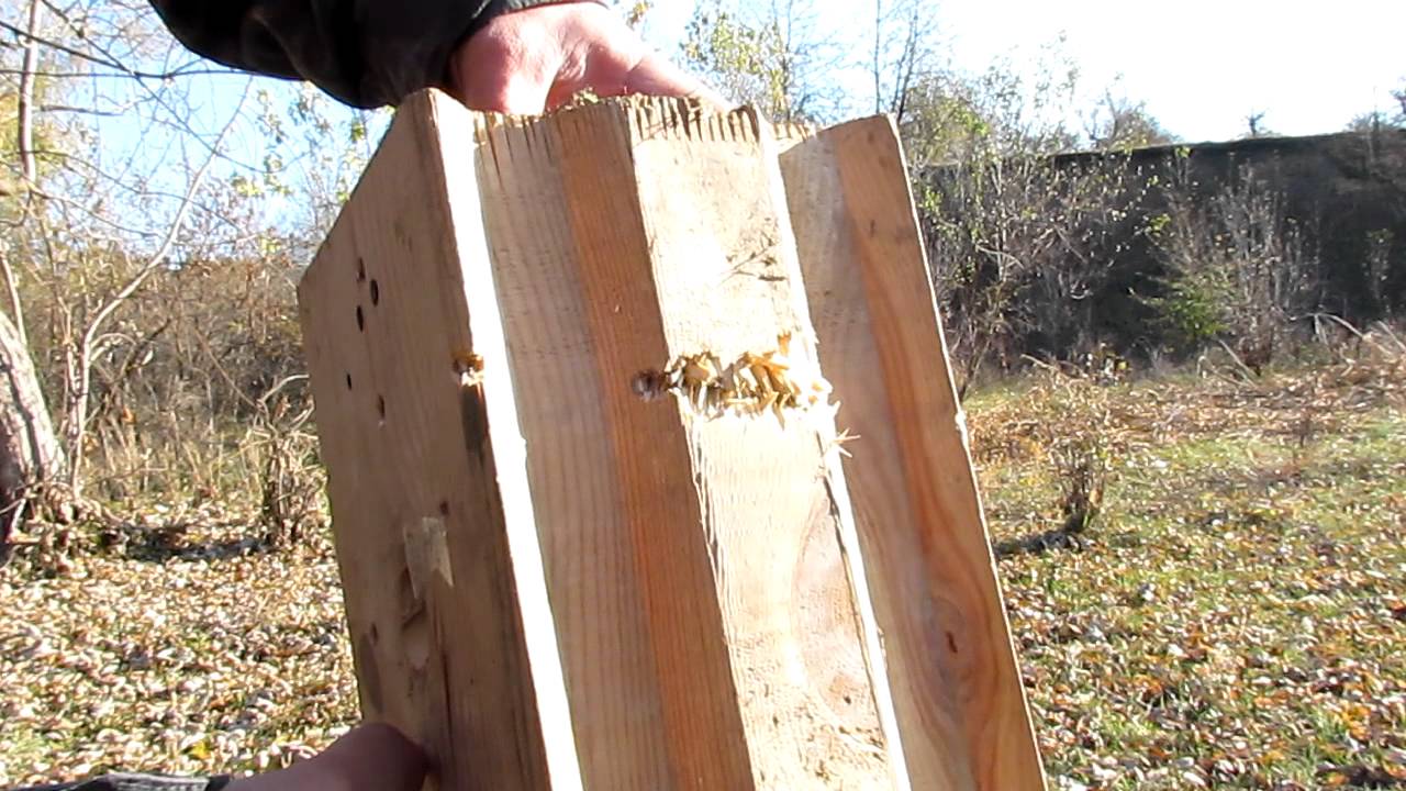 Тест пуль 223его калибра и картечи с пулями 12ого ...