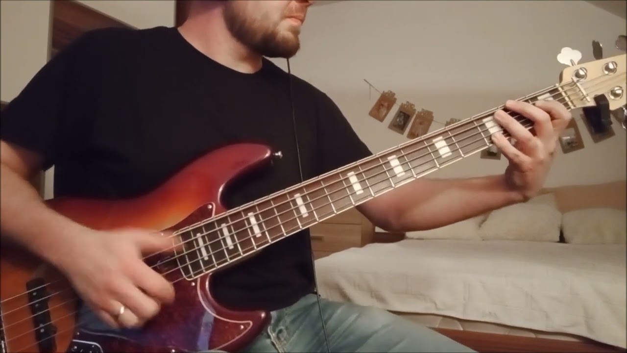 Louis - Sve se osim tuge deli (Bass Cover)