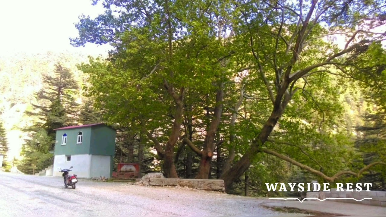 Natalia - Wayside Rest