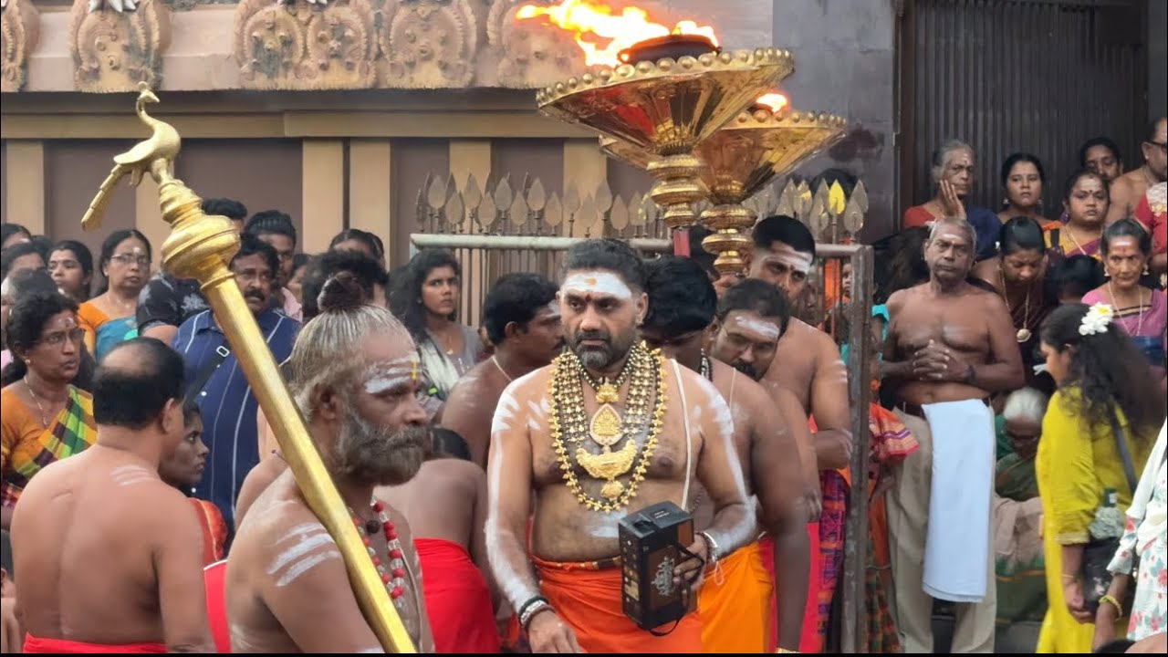 நல்லூர் உள்வீதியில் காட்சி தந்த தங்க  இடபம் ! பதினாறாம் நாளில் இப்படியெல்லாம் நடக்குமா ?