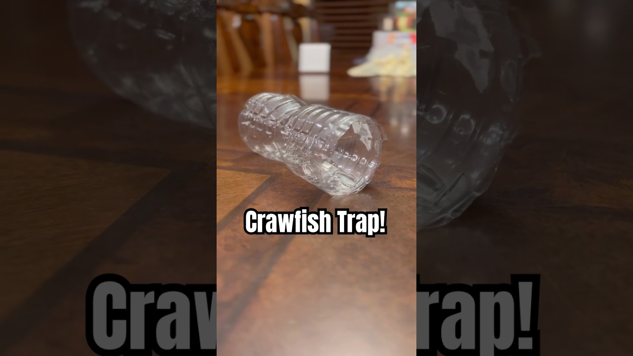 Easy Crawfish Trap! #crawfish #fyp