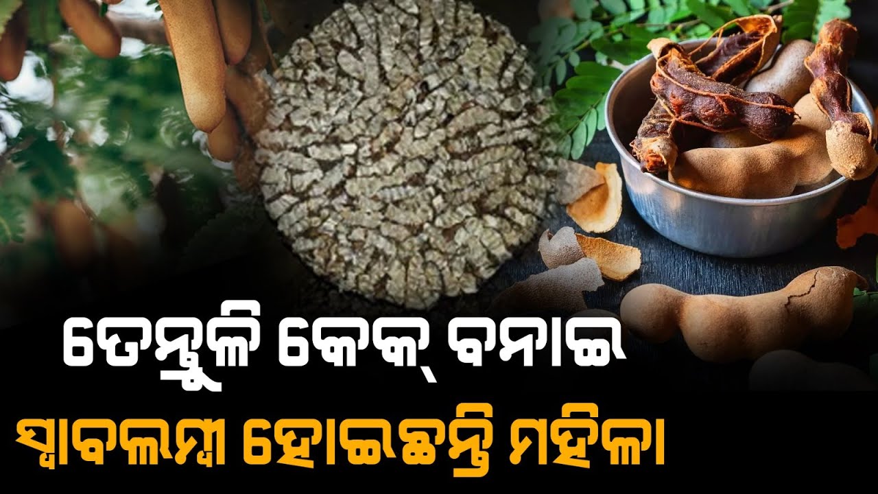 ତେନ୍ତୁଳି କେକ୍ ବନାଇ ସ୍ୱାବଲମ୍ବୀ ହୋଇଛନ୍ତି ମହିଳା || Dinalipi Live