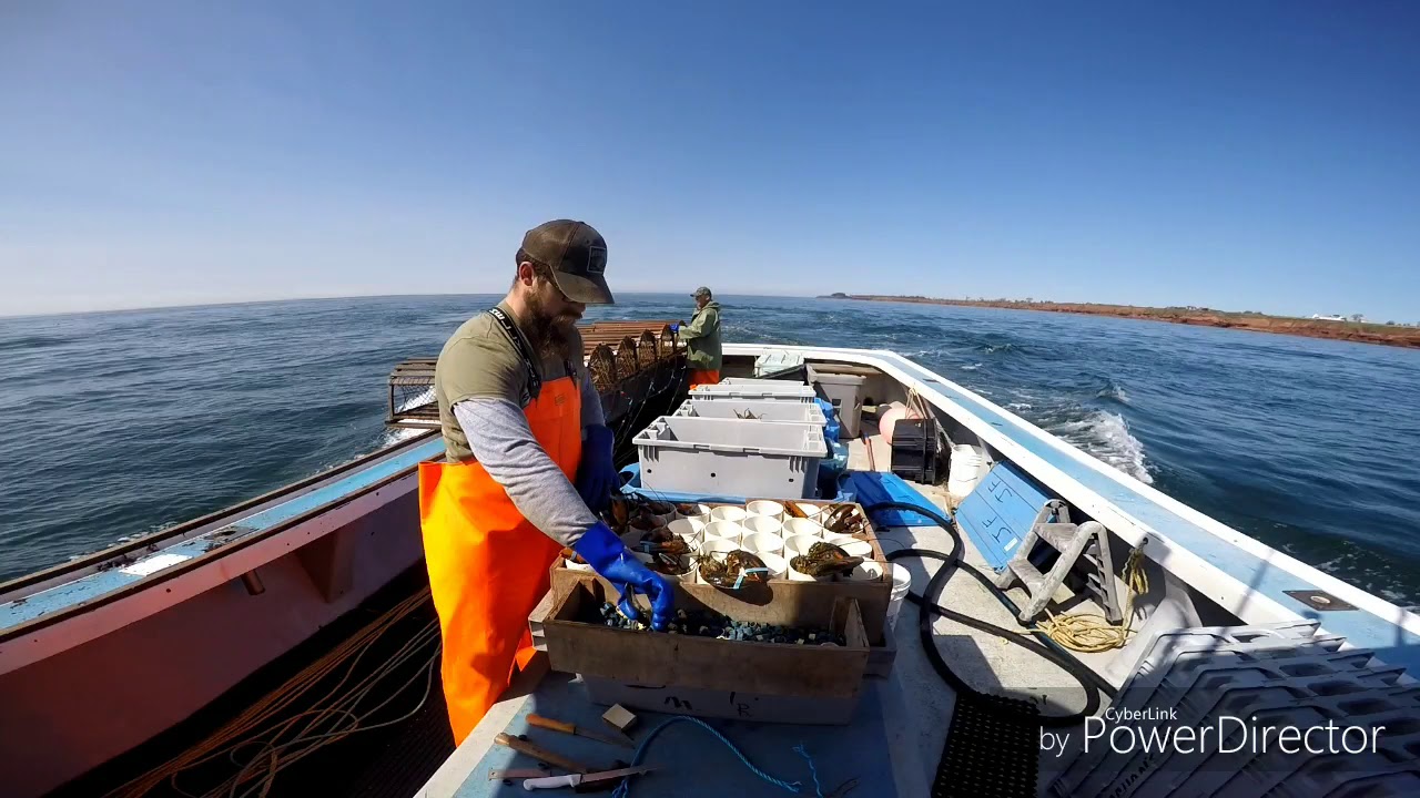PEI Lobster fishing June 1st 2018 out of murray harbour