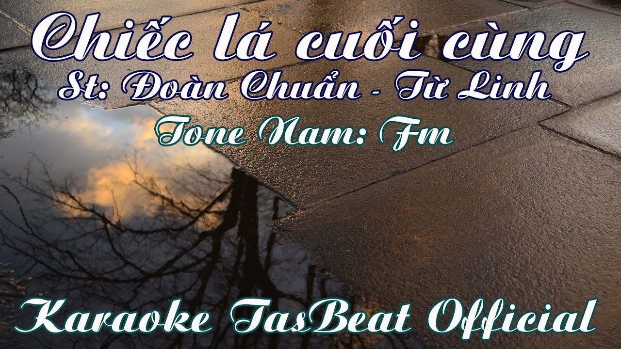 Karaoke Chiếc Lá Cuối Cùng (Đoàn Chuẩn Từ Linh) - Tone Nam | TAS BEAT