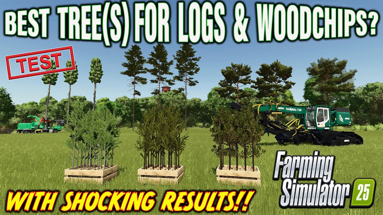 TEST/GUIDE (BEST TREES for LOGGING?WOODCHIP) PLACEABLE VS PLANTABLE ON FARMING SIMULATOR 25?!
