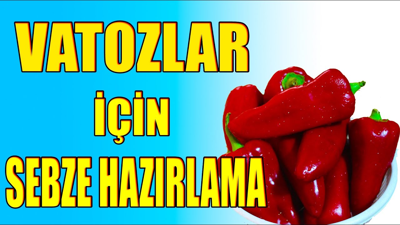 VATOZLAR İÇİN BUHARDA KAPYA BİBER NASIL HAŞLANIR? Vatozlara Kapya Biber Nasıl Verilir?