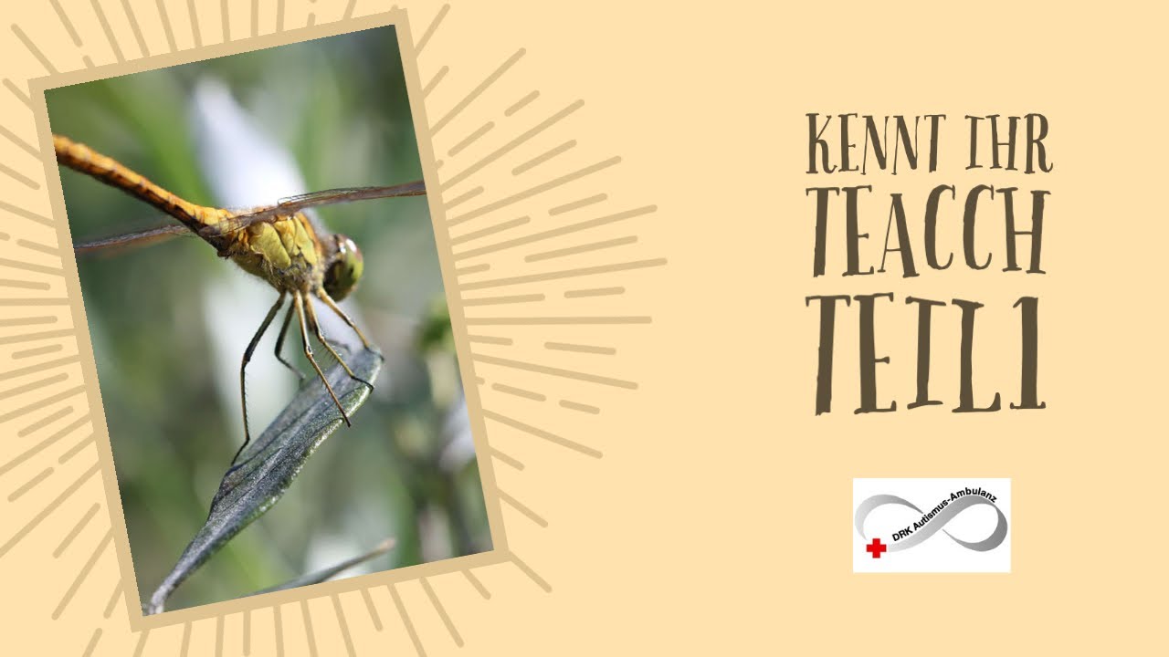 Was ist TEACCH? DRK Autismus Ambulanz Norden