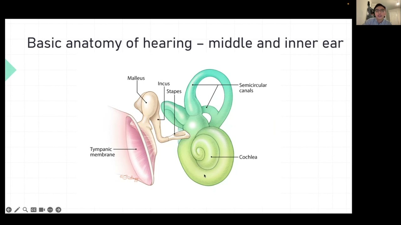Final Year series:  ENT Hearing Loss and Audiogram interpretation UKMLA