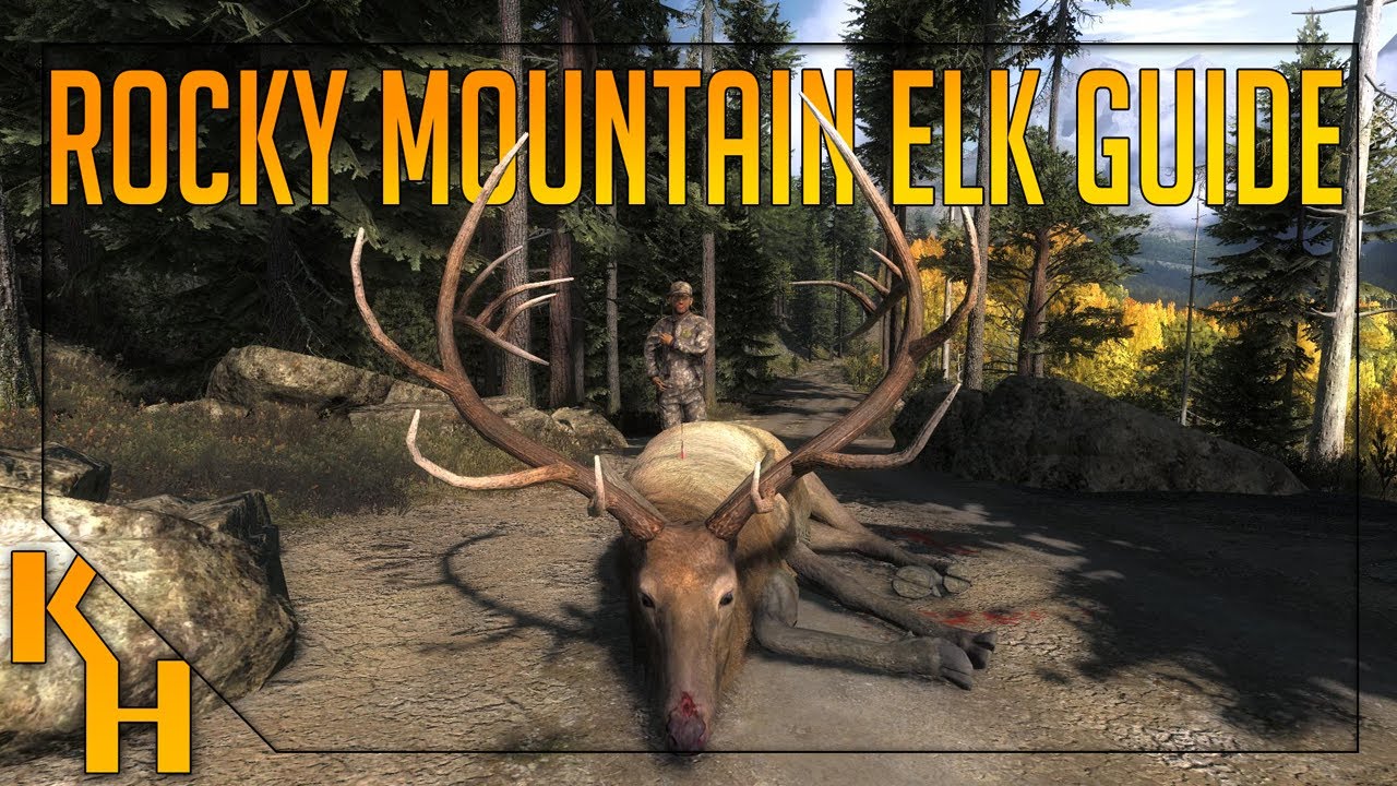 theHunter Classic: The Ultimate Rocky Mountain Elk guide.