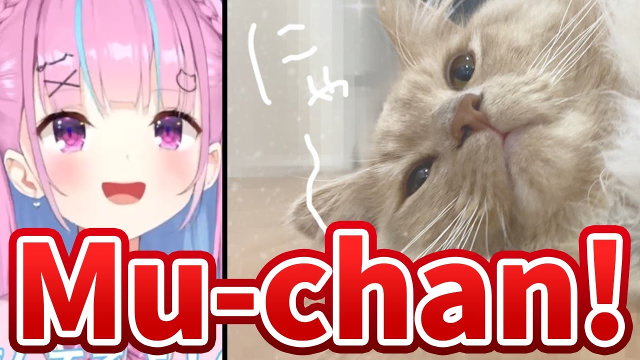 Aqua gets enchanted by Mu-chan's adorable Meowing during her stream [Hololive/Eng sub]