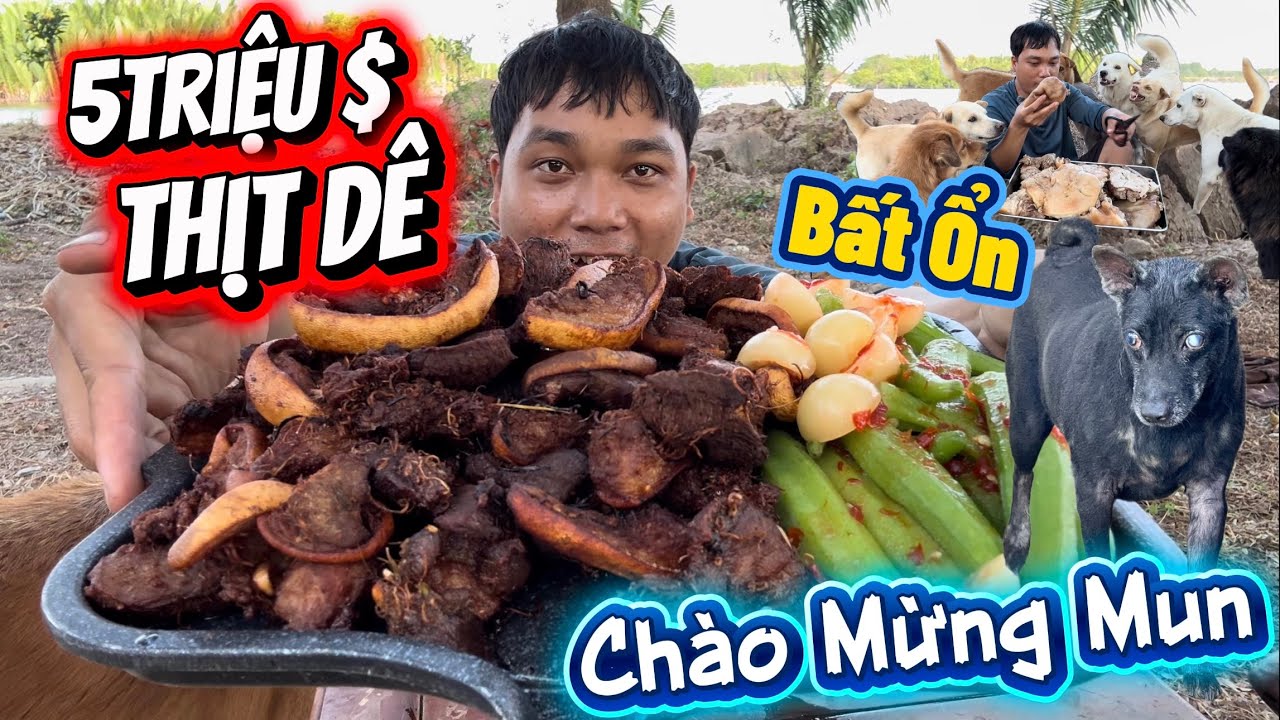 Mua 5 Triệu Tiền Thịt Dê Chế Biến Cho Cả Bầy Cùng Ăn Chúc Mừng Mun Mù Trở Về Rừng