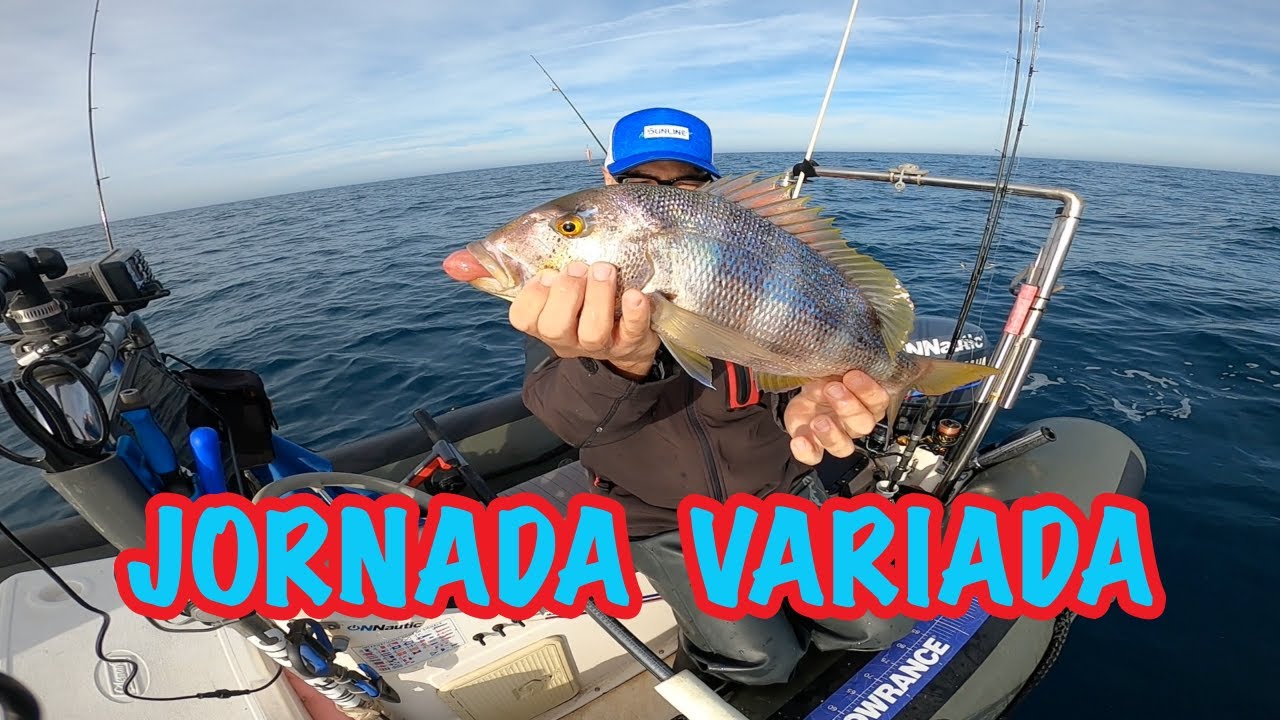 JIGGING, EGING, PESCA AL VIVO Y MICRO JIGGING 😍