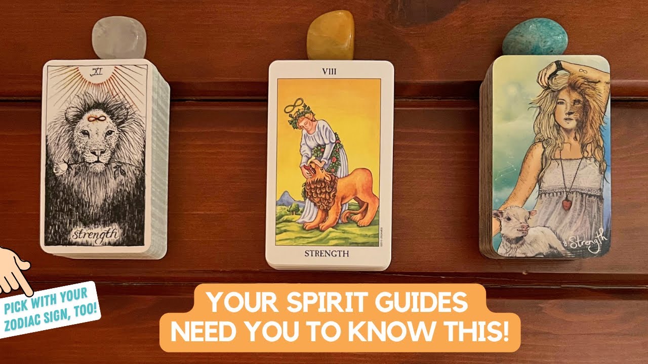 Your Spirit Guides Need You To Know This! | Timeless Reading