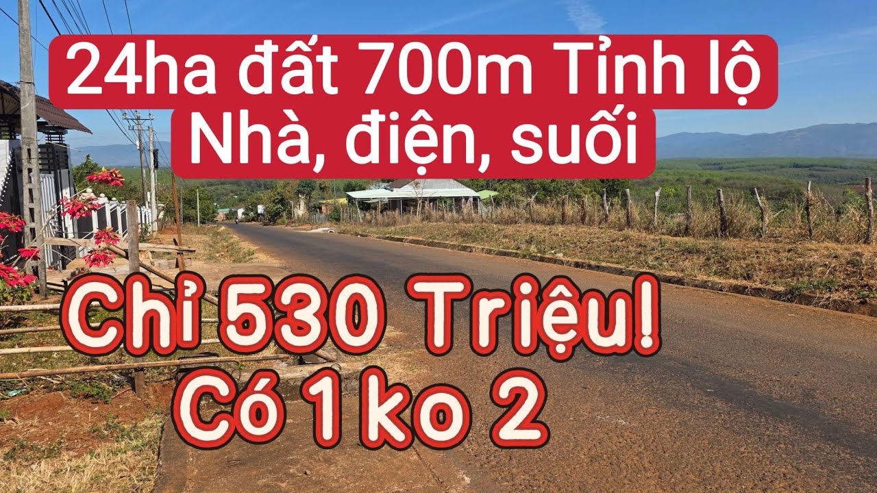 B&aacute;n đất rẫy mặt đường tỉnh lộ, bất động sản đất n&ocirc;ng nghiệp trồng c&agrave; ph&ecirc; ti&ecirc;u, đầu tư đất nền