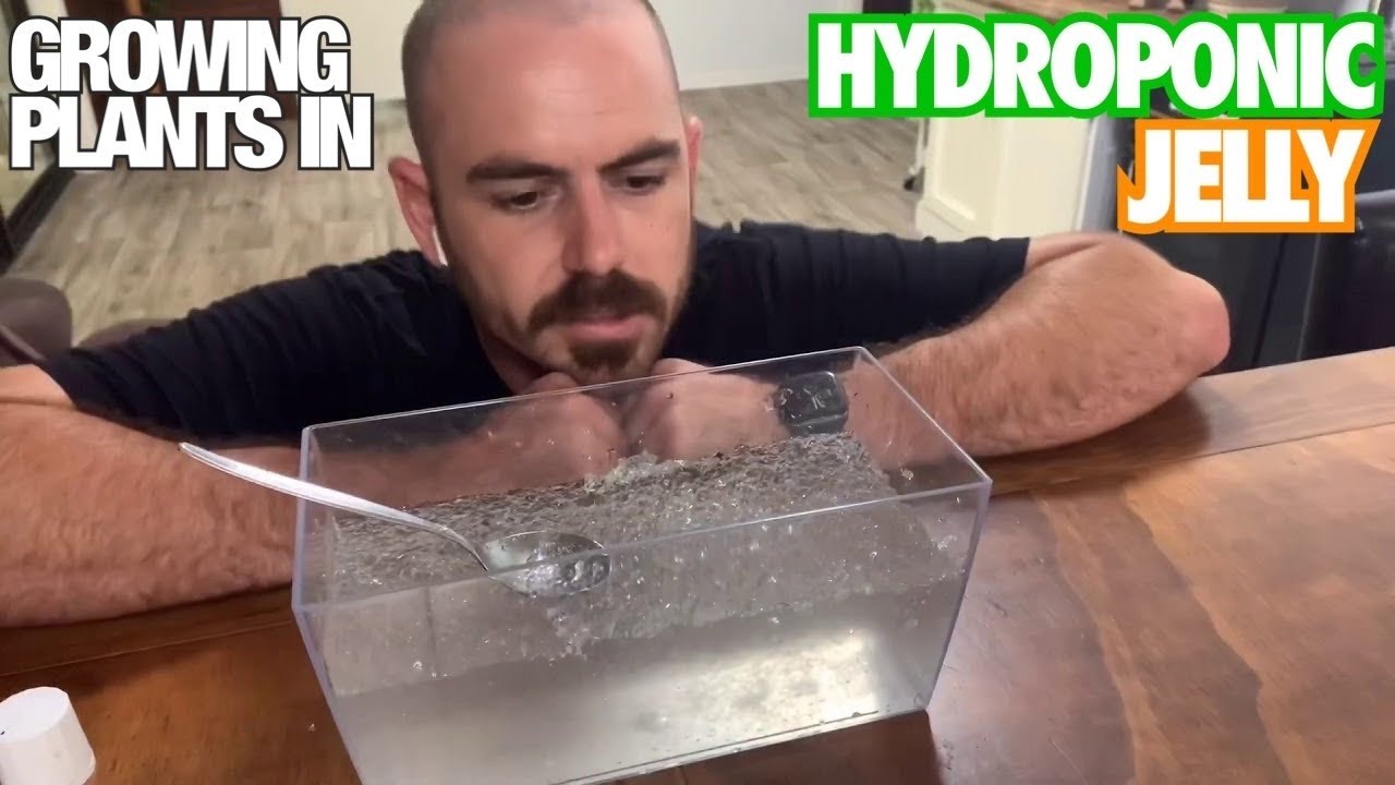Growing Plants in Hydroponic Jelly