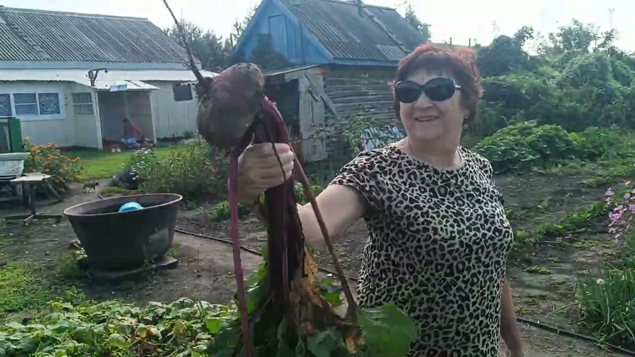 Гости подчистили мой огород🙆Жизнь в ДЕРЕВНЕ 🤗.