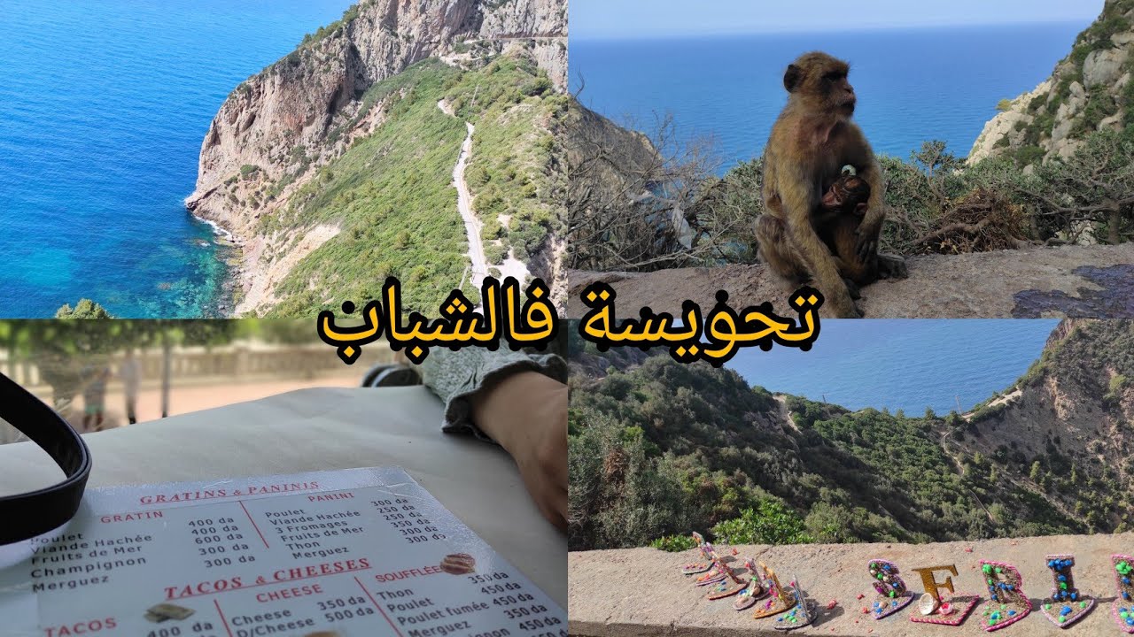 #cap_carbon  آخر يوم في بجاية 😢سلسلة جمال بلادي