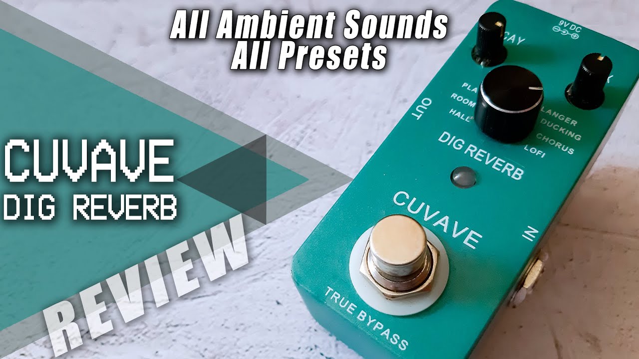 Best Cheap PEDAL Effects | Cuvave M-Vave DIG REVERB | VIDEO REVIEW [NO TALK]