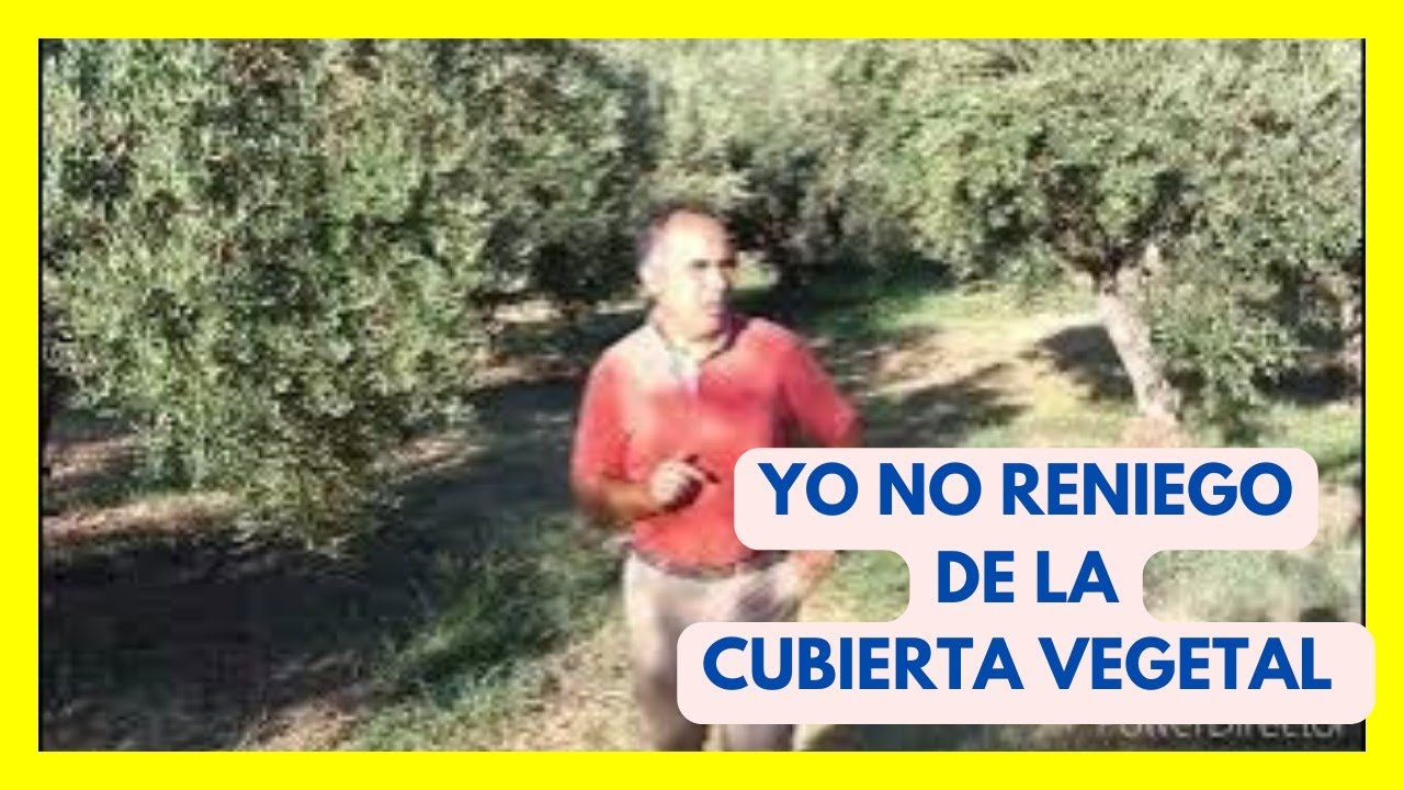 🟥 Yo NO Reniego de la Cubierta Vegetal