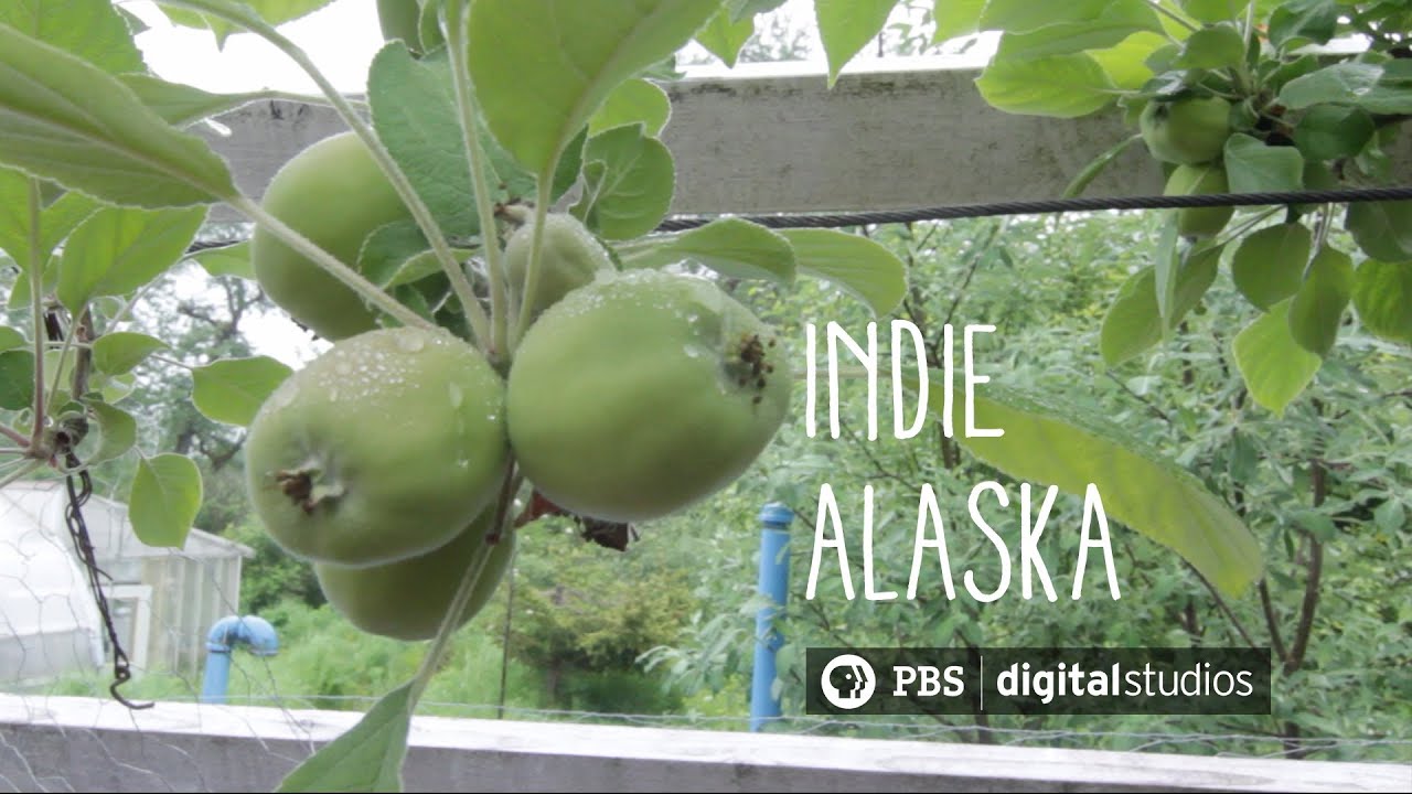 Maintaining a year-round greenhouse in Kodiak, Alaska | INDIE ALASKA
